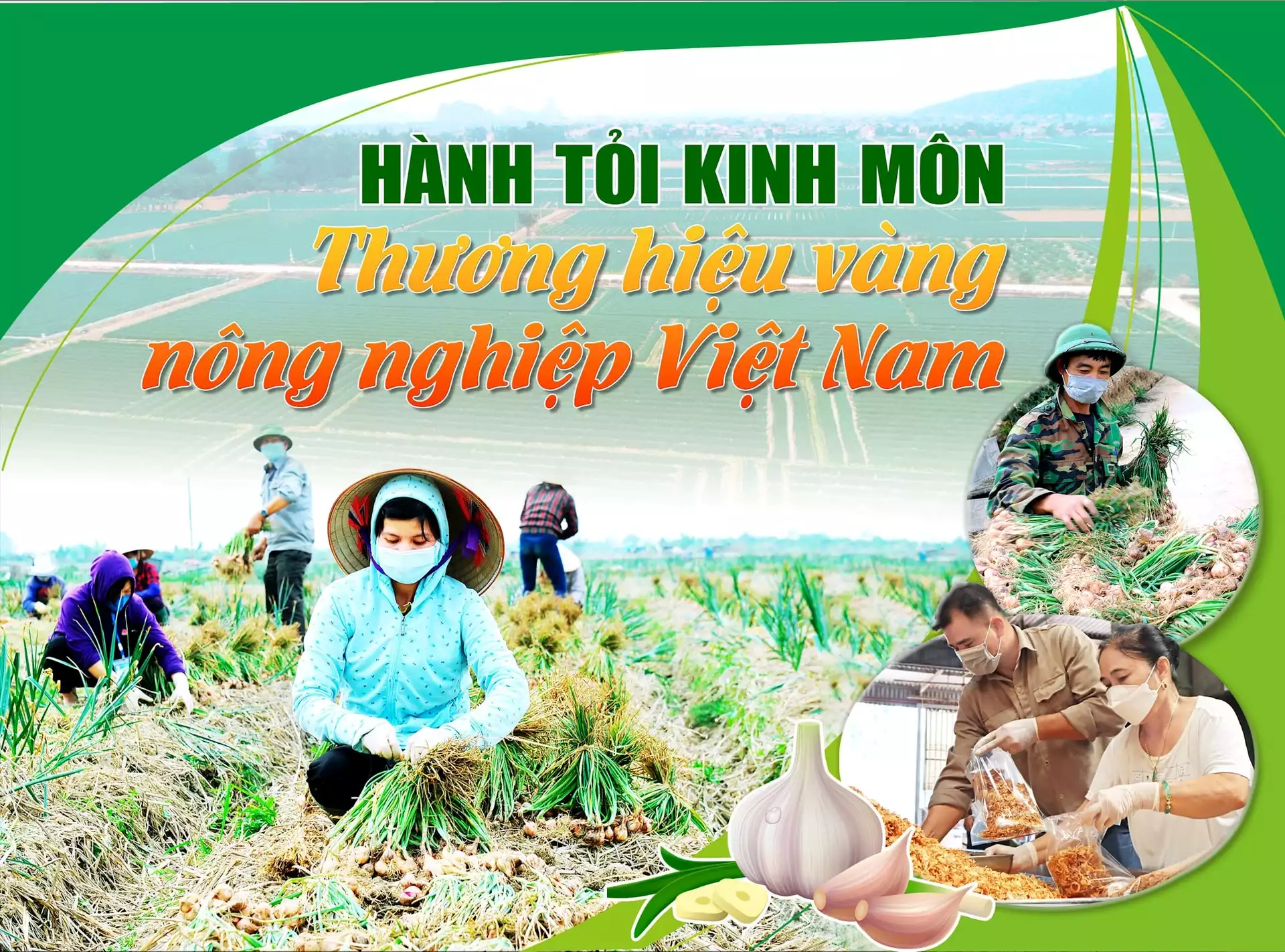 Hành tỏi Kinh Môn – Thương hiệu vàng nông nghiệp Việt Nam